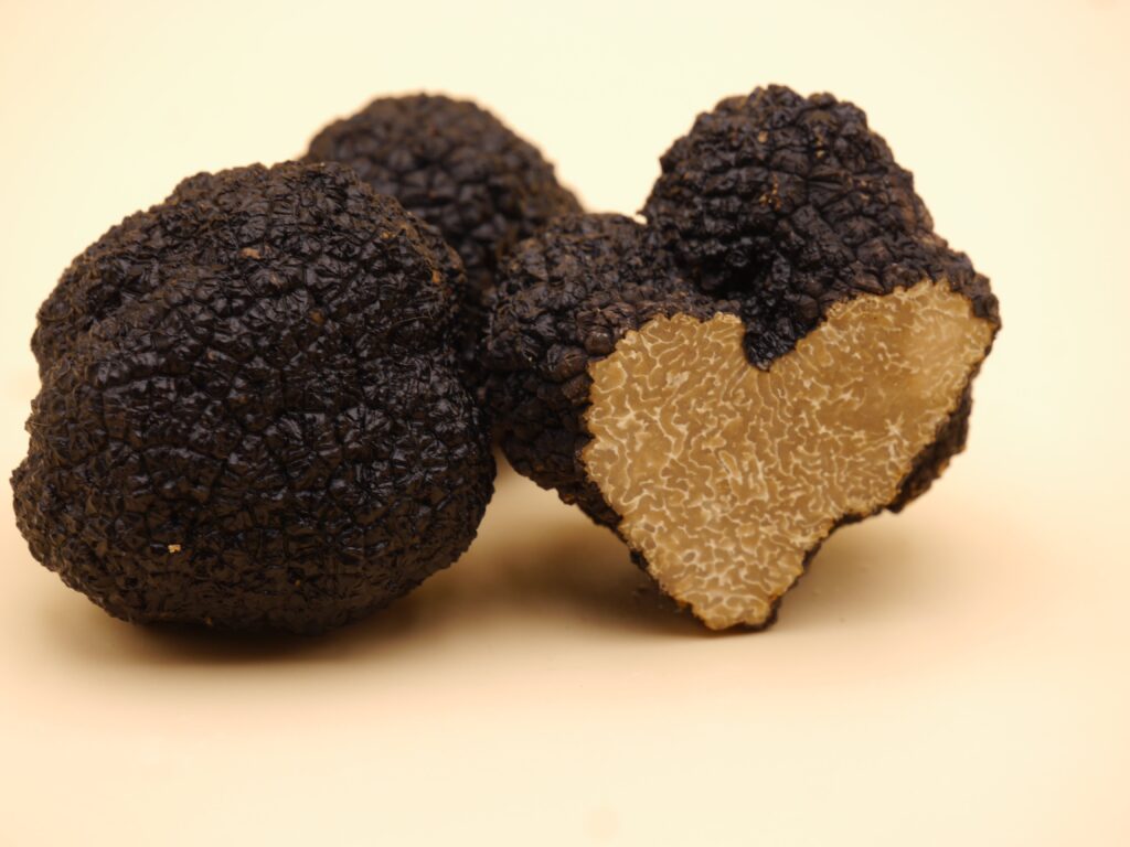 Frische schwarze Burgundertrüffel aus eigenem Anbau